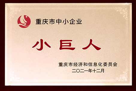 2021年【重庆】专精特新“小巨人”企业